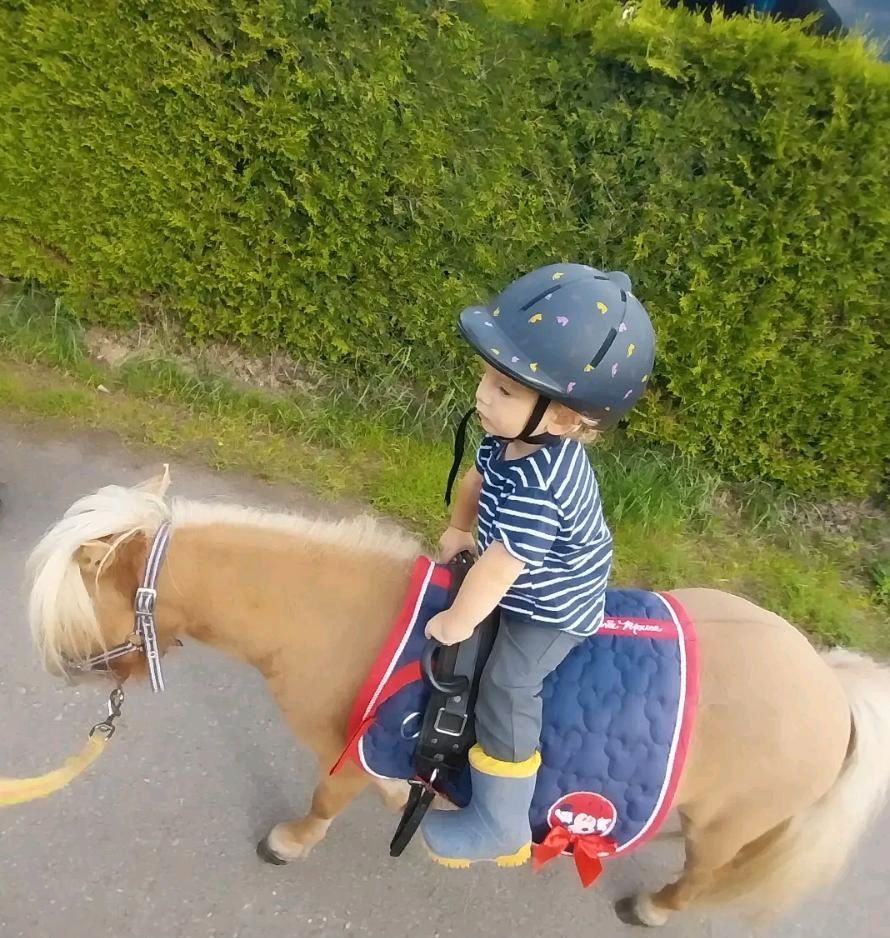 Ponyclub Kinder reiten ab 3,5 J. in Baumholder
