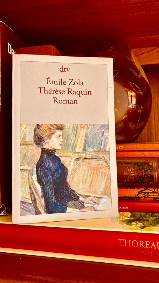 Emile Zola „Therese Raquin“ dtv TB Romantik Klassiker in Frankfurt am Main