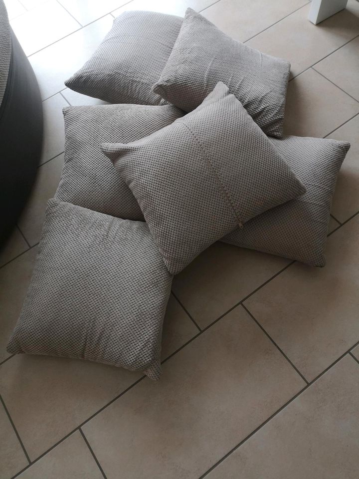 ❤️ 6 Sofa Kissen für 20 € in Mockrehna