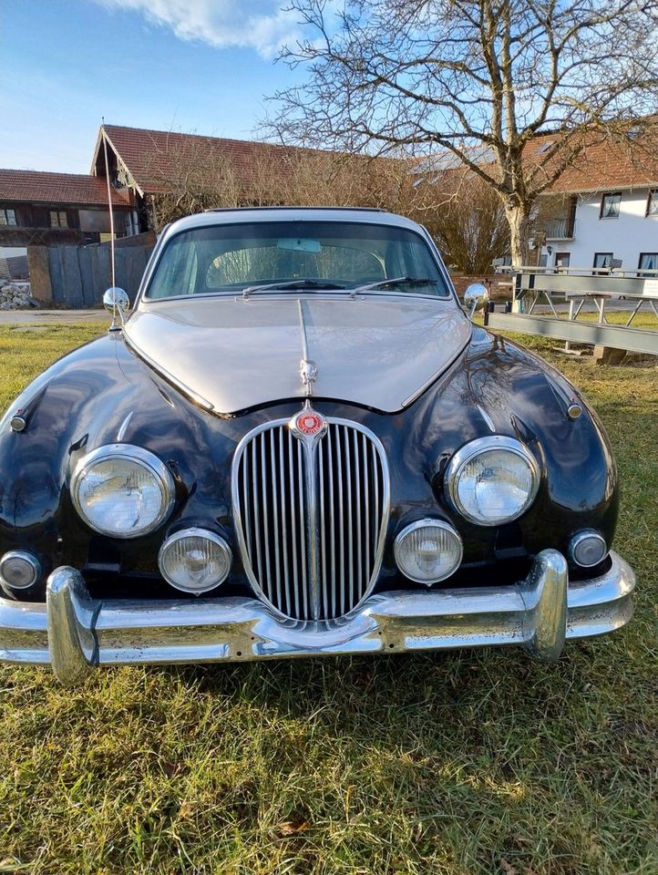                     Jaguar MK II
