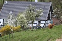 Ferienwohnung auf Bioland Highlandhof Nordrhein-Westfalen - Marienheide Vorschau