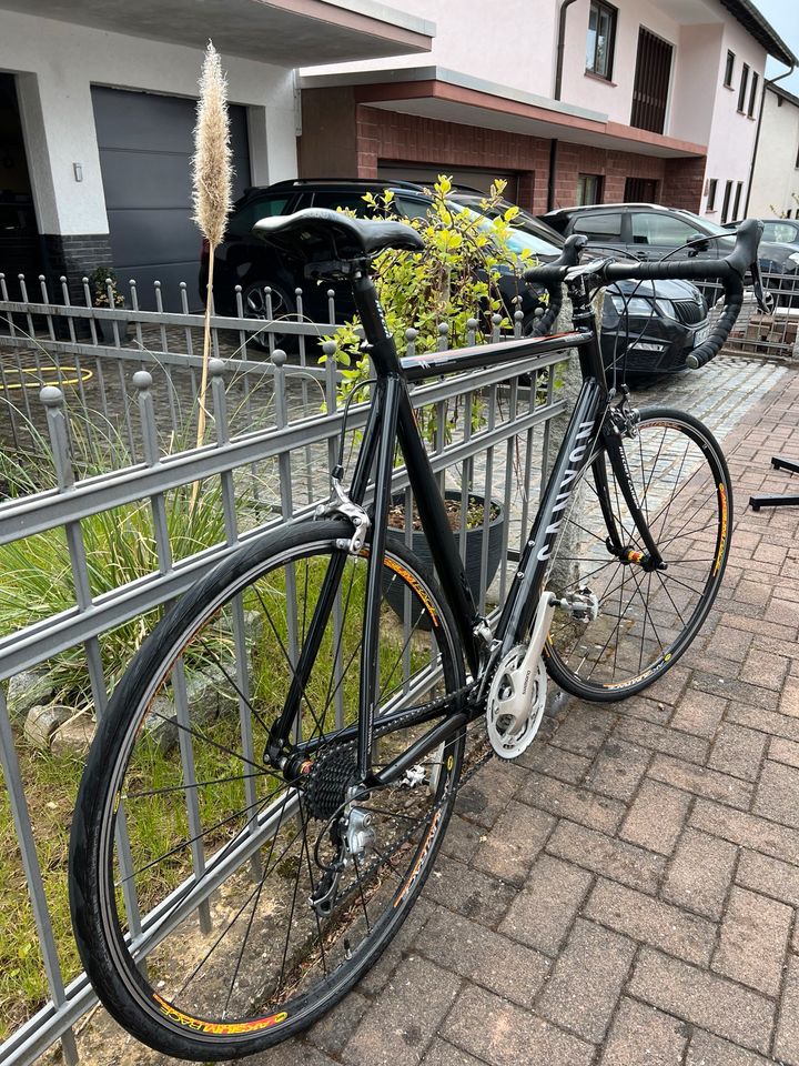 Canyon Roadlite AL 6.0 F6 RH 64 Rennrad wie Endurace in Bessenbach