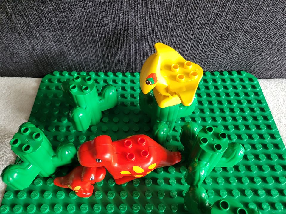 Lego Duplo Dinosaurier in Kempten