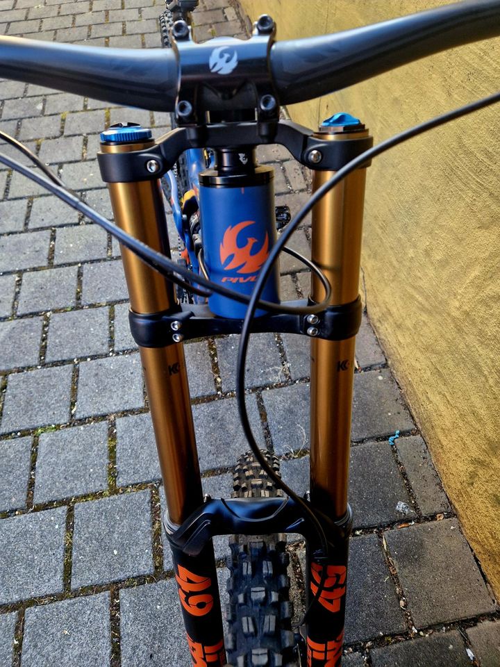 Pivot Phoenix Pro Saint 29" Downhill Rad Größe XL, 4 Jahre alt in Frankfurt am Main