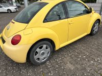 Volkswagen Beetle TÜV Defekt Bastler Baden-Württemberg - Sontheim Vorschau