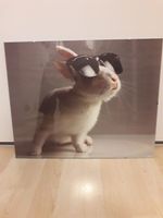Vintage „weißes Kaninchen mit Brille“ Poster im Glasrahmen 50x40 Hessen - Wiesbaden Vorschau