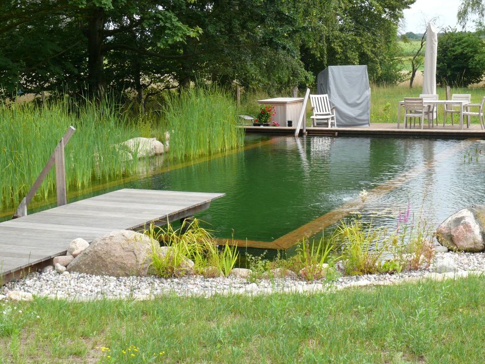 Teiche, Schwimmteiche Gartenteich, Teichbau, Teich in Dahlenburg