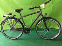 Neuware 7 Gang 28 Zoll Herrenrad Trekkingrad Cityrad kein Pegasus Nordrhein-Westfalen - Beckum Vorschau