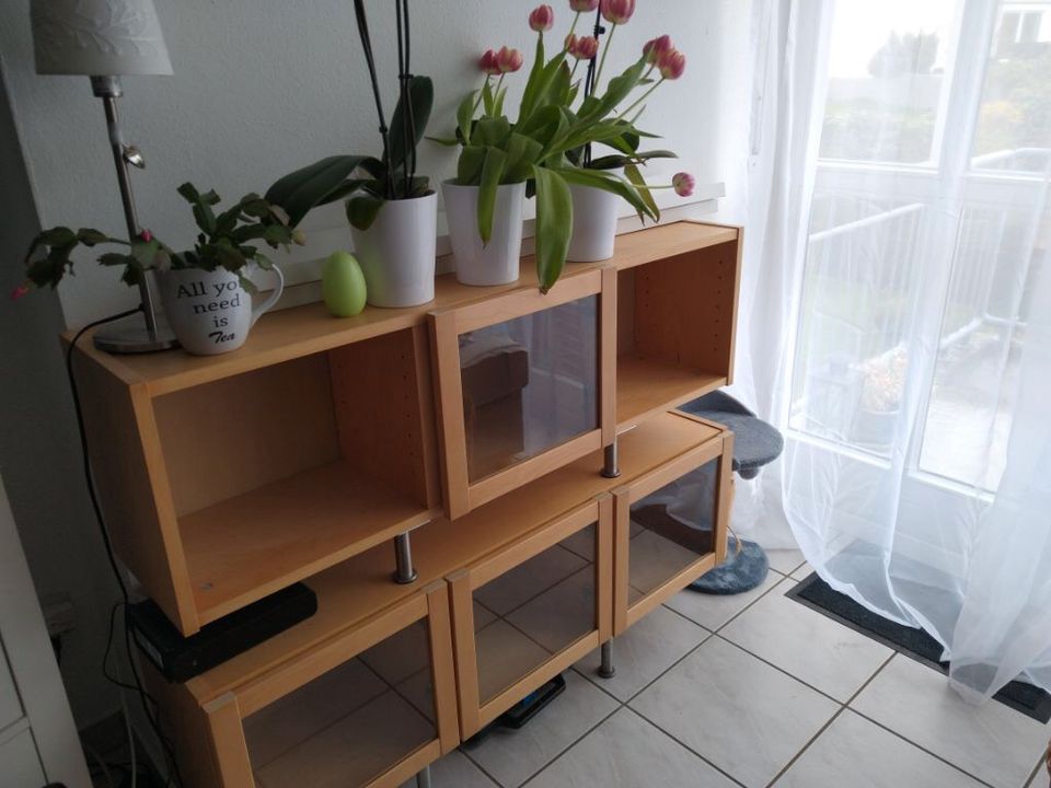 Ikea Billy Sideboard 2 teiliges Regal Birke mit Glastüren in Bayern -  Dasing | eBay Kleinanzeigen ist jetzt Kleinanzeigen