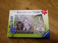 Kinderpuzzle 3x49 Teile - Katzen Schleswig-Holstein - Bredenbek (bei Rendsburg) Vorschau