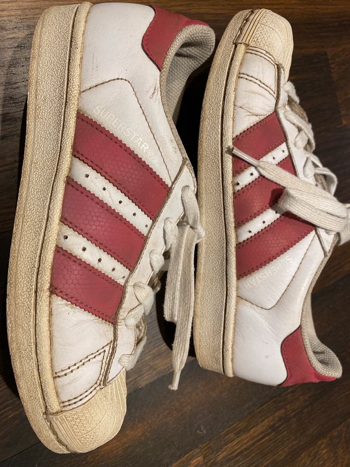 Adidas Superstar Gr 36 2/3 in Chemnitz