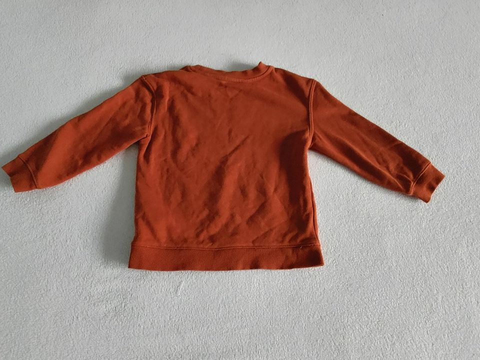 5 Pullover Grösse 104 H&M Palomino Pusblu Nova Star in Bellheim