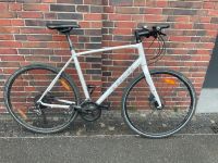 Trek FX3 weiss grösse XL Friedrichshain-Kreuzberg - Friedrichshain Vorschau