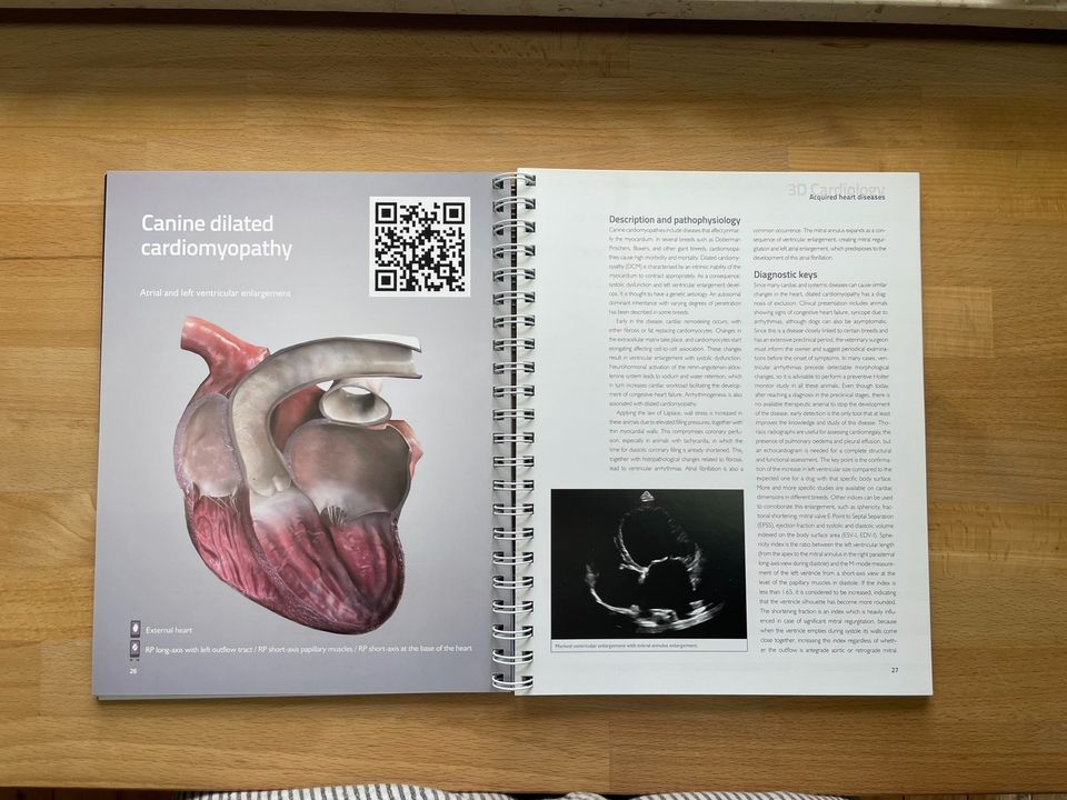 3D cardiology in small animals in Alzenau