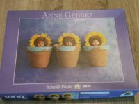 Anne Geddes 1000 Teile Puzzle "Sonnenblumen-Trio" Hessen - Frielendorf Vorschau