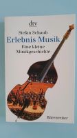 Stefan Schaub, Erlebnis Musik Rheinland-Pfalz - Diez Vorschau