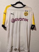Borussia Dortmund BVB Trikot Guerreiro Hessen - Melsungen Vorschau