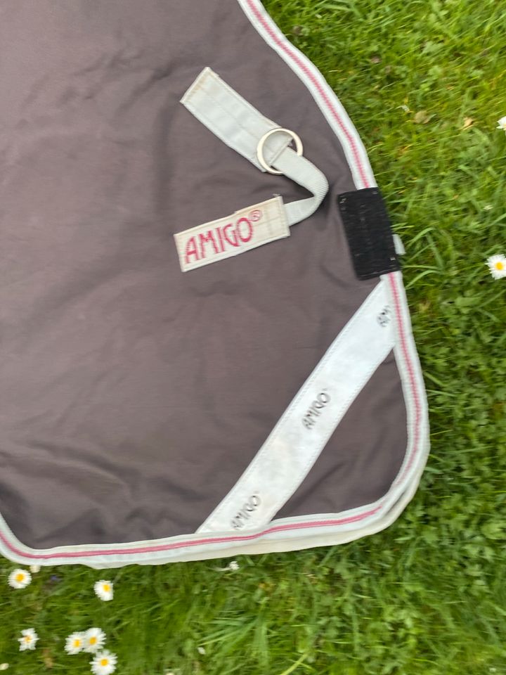 Amigo Turnout Bravo 12 Wug lite 0g Regendecke Outdoordecke in Freilassing