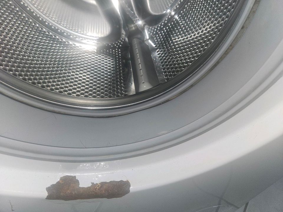 Waschmaschine Defekt in Löbau
