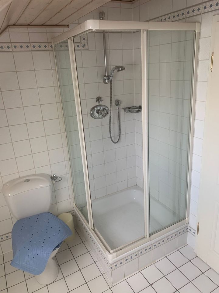 Badezimmermöbel, Duschkabine, Duschwanne, Badezimmerspiegel in Diepholz