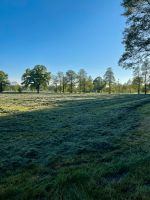 Grünland, Wiesenflächen zur Pacht gesucht Niedersachsen - Dörverden Vorschau