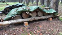 Brennholz, Meter, Fichte, Buche, Bruch Bayern - Furth im Wald Vorschau