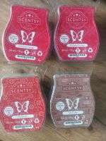 4 Scentsy - Bars - ungeöffnet! Verschiedene Düfte! Rheinland-Pfalz - Ludwigshafen Vorschau