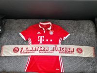 Bayern München Trikot S Hessen - Wetzlar Vorschau