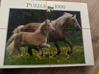 Puzzle 1000 Selbstabholer Schleswig-Holstein - Glücksburg Vorschau