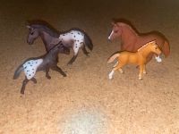 TOP Schleich Appalouser Stuten mit Fohlen Special Bayern - Haag in Oberbayern Vorschau