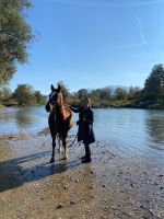 Pflegebeteiligung für braves Endmaßpony gesucht Bayern - Großweil Vorschau