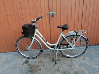 Mifa damenfahrrad 28 Zoll retro 7 gang mit Korb Thüringen - Uder Vorschau