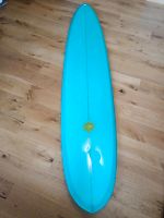 9'0 Michel Junod performance pintail longboard Nordrhein-Westfalen - Lohmar Vorschau