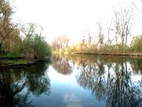 4.664 m² Grundstück in Wald- u. Wassernähe in Wustermark bei Berlin zu vermieten Brandenburg - Wustermark Vorschau