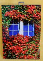 Foto 10 x 15 cm auf Kapafix- Fenster in Rosenthal Rheinland-Pfalz - Eisenberg  Vorschau