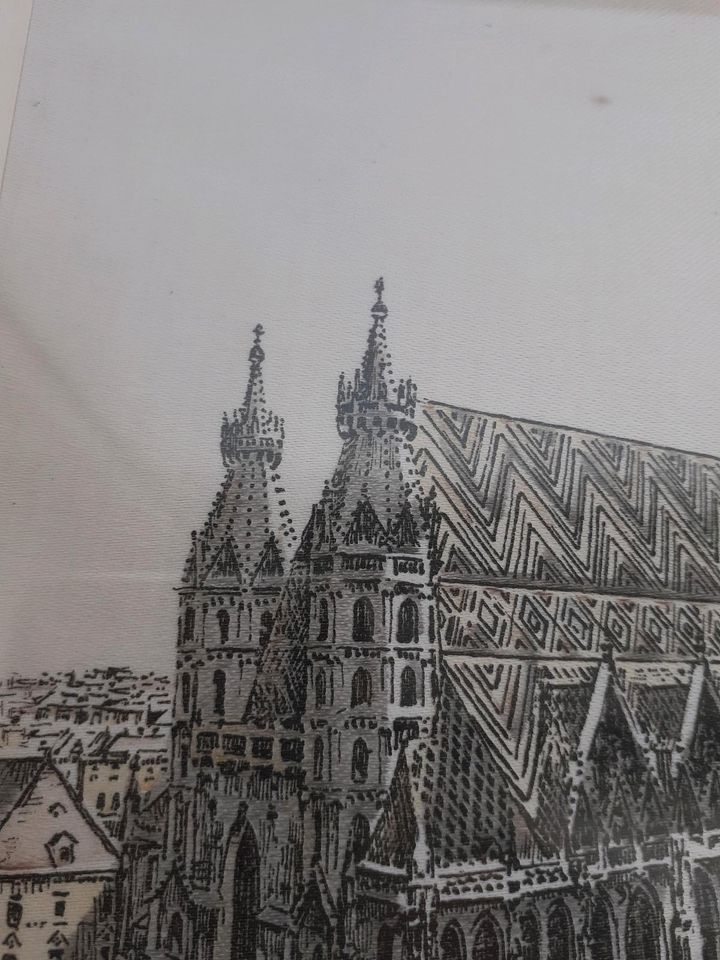 Bild vom Stephansdom in Wien . in Stuttgart