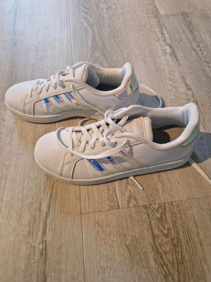 Adidas gr. 36 in Neumünster