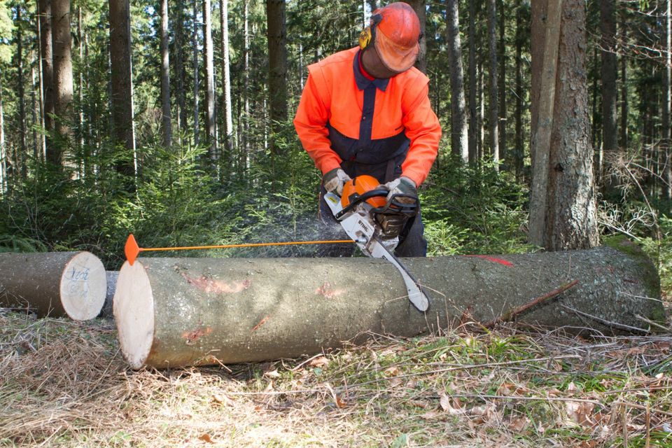 NESTLE Ablängstab KOLIBRI 33 cm, zur Ablängung mit Motorsäge, 33 cm