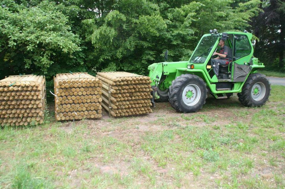 Zaunpfähle - Baumpfähle - Holzpfähle - 10 x 250 cm - imprägniert in Wagenfeld