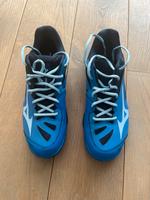 Mizuno Wave Claw 2 Hallenschuh 44,5 neu Nordrhein-Westfalen - Sprockhövel Vorschau