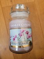 Yankee Candle Honey Blossom Rarität neu ungebrannt Rheinland-Pfalz - Speicher Vorschau