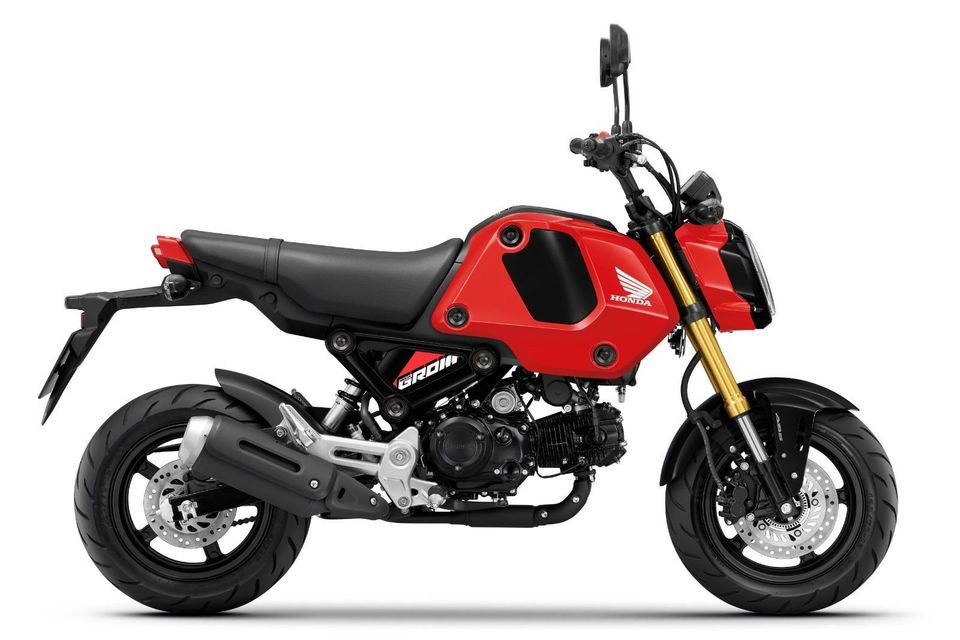 HONDA MSX GROM 125 2024 ROT *sofort verfügbar* in Winnenden