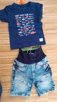 S. Oliver Jeans Shorts Gr. & Staccato T-Shirt Gr. 68 Rheinland-Pfalz - Hof bei Westerwald Vorschau