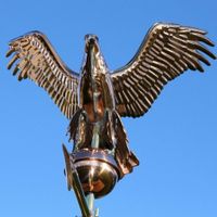 Mittelgroße Wetterfahne Adler aus Kupfer / Dachschmuck / Geschenk Dortmund - Innenstadt-Ost Vorschau