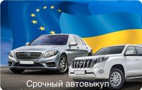 Ich kaufe Ihre Auto mit ukrainischer Zulassung Куплю авто Украина Nürnberg (Mittelfr) - Mitte Vorschau