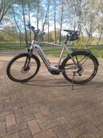 E-BIKE Hercules Niedersachsen - Saterland Vorschau