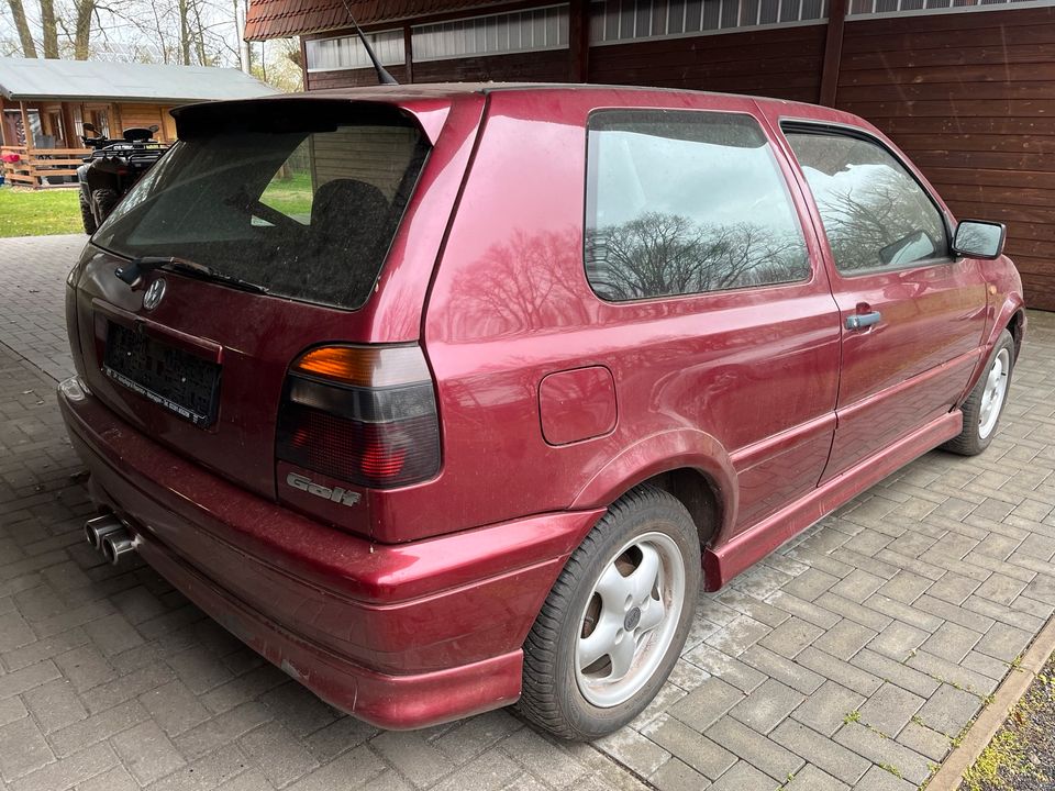 Golf III 1.Hand 1,8l in Neuruppin