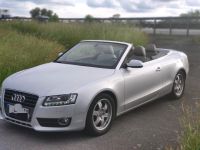 Audi A5 2.0 TDI Cabrio Alcantara AHK Scheckheft Hamburg-Mitte - Hamburg Wilhelmsburg Vorschau