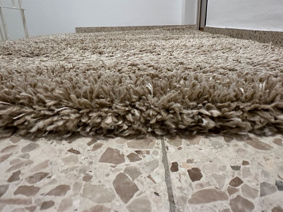 Hochwertiger Teppich in Castrop-Rauxel