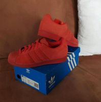 Adidas Superstar Nizza 38 Male unisex Kinder Herren Damen Dresden - Kleinzschachwitz Vorschau